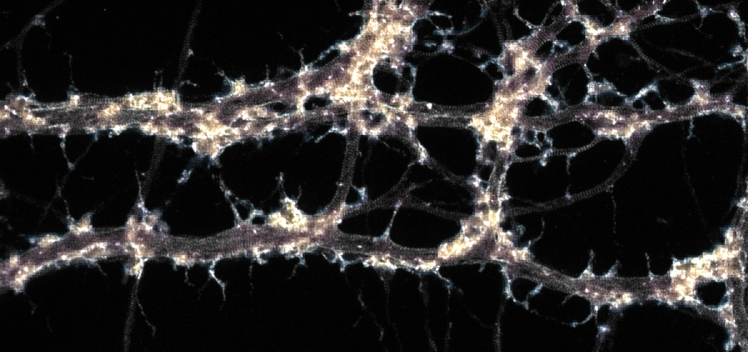 Neuron Banner
